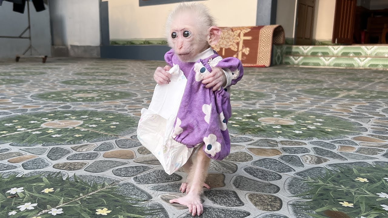 Poor has difficulty wearing diapers so she asks Hong for help!