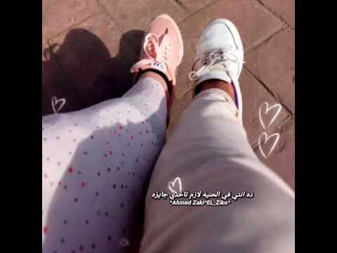رايقة عمرو دياب