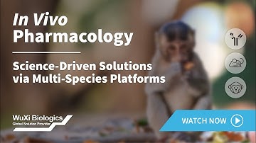 In Vivo Pharmacology: Science-Driven Solutions via Multi-Species Platforms
