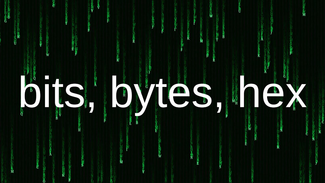 Bits Bytes and Hex