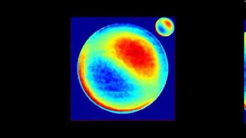 Scan-free direct measurement of an extremely high-dimensional photonic state