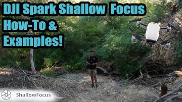 DJI Spark Shallow Focus Mode How To & Photo Examples
