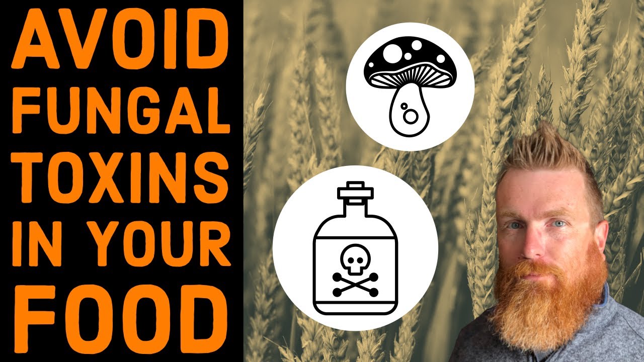How to Avoid Fungal Toxins in Your Food - Mycotoxins