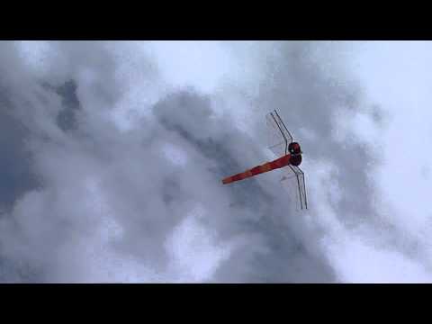 New Tech Kites 3D Dragonfly Designed by Graeme Poole