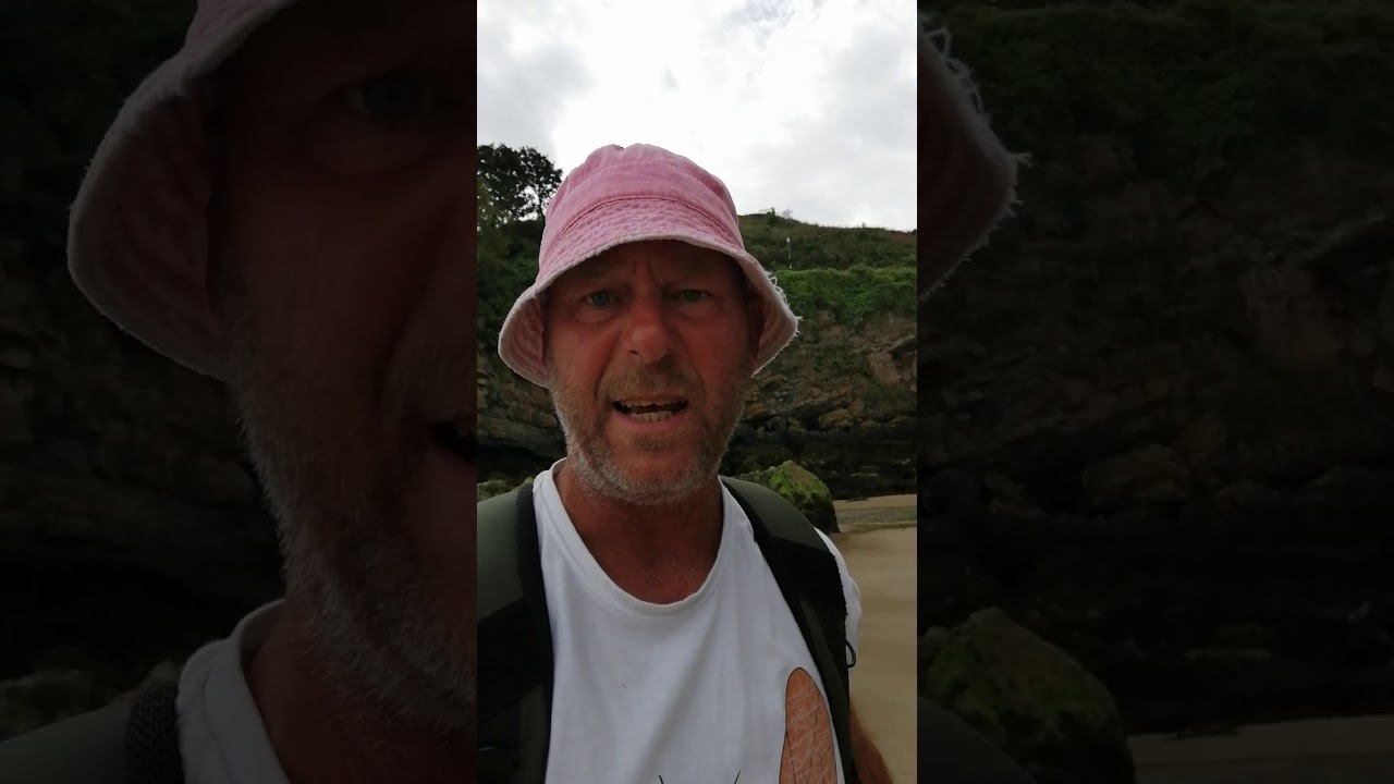 Edible Sea Snails at low tide a feast in less than 10 minutes