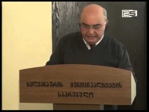 ჯანდაცვისა და განათლების სამინისტროებმა სამწლიანი ანგარიში ხელვაჩაურის მუნიციპალიტეტში წარადგინეს