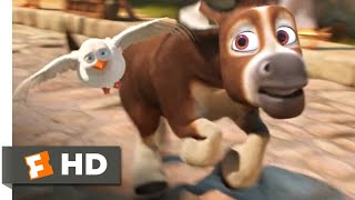 The Star - Bos Big Escape Fandango Family