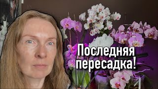 Dana Protasova в прямом эфире!