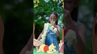 Disney Plush Winnie the Pooh Collection