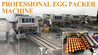 Automatic Egg Packer Machine | Fast & Accurate Egg Tray Packing Process 🥚⚙️#eggpackagingmachine