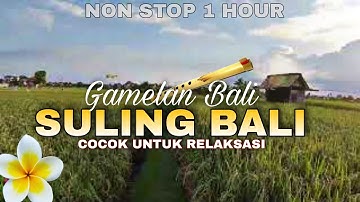 RELAKSASI SULING MERDU DENGAN PEMANDANGAN SAWAH  ! GAMELAN BALI ! HEALING MUSIC