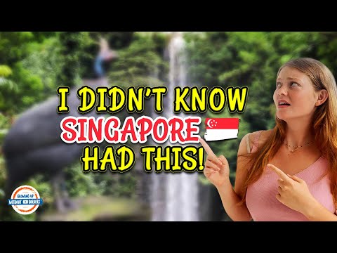 I DIDN’T KNOW SINGAPORE HAD THIS!🦜🦩🦅🦚 🇸🇬 | 197 Countries, 3 Kids