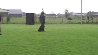 26-04-2015 Examen Vzhbh Katrin Met Bhodi