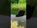 Odd fishing catch #rock