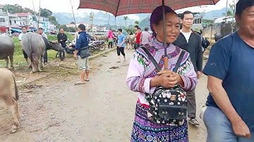 Con trâu thấp nhất phiên chợ