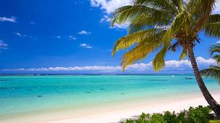 Ocean Waves & Bossa Nova : Smooth Melodies For Relaxing In Summer Seaside
