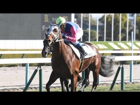 現地購入的中単勝馬券【3歳未勝利（デビュー2戦目/初勝利）】エアシャカール 競馬】 驚き！ 3歳未勝利 (2025.06.28・函館4R) 2025
