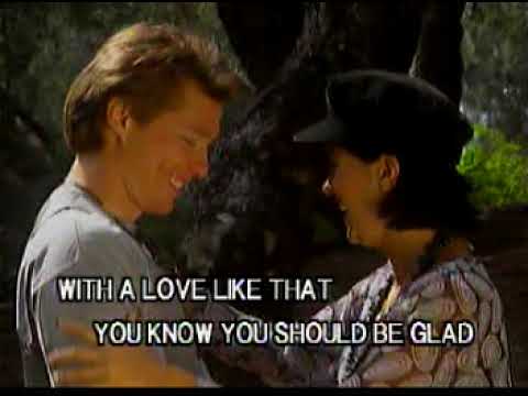 SHE LOVES YOU - THE BEATLES LYRIC KARAOKE