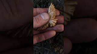 Handcraft wooden brooch 🦅 #woodcarving #handmade #brooch