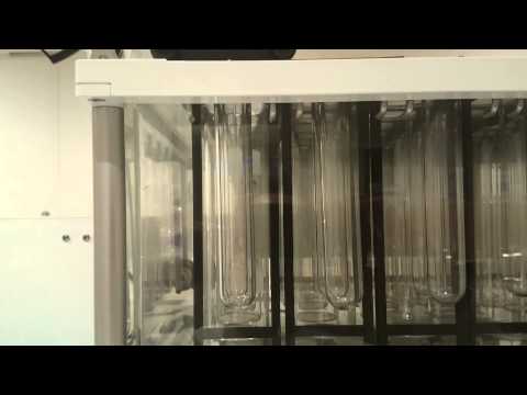 ERWEKA RRT10 USP Apparatus 3/7 Dissolution tester