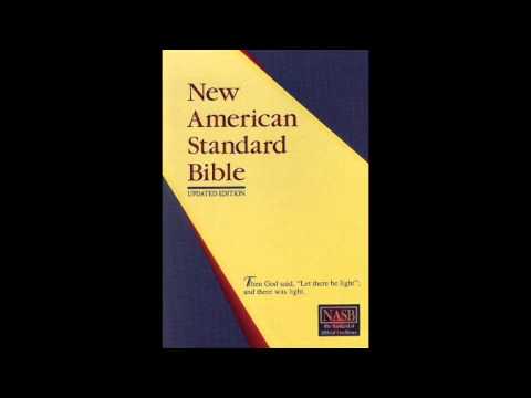 The Book of Ruth (NASB Audio Bible Non Dramatized) - YouTube