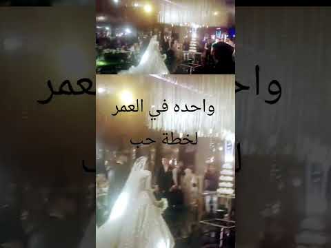 العروسه الفرفوشه الرز من العريس ربنا يا رب يوعدني لى ايبنى عرس افراح نسمات الحبيب