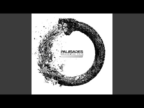 Patient - Palisades