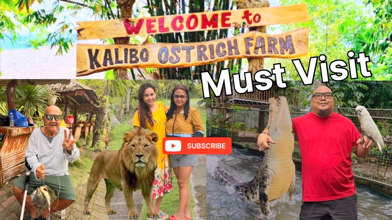 We Fed the BIGGEST Crocodile in the Philippines 😱🐊 | Lions & Tigers Up Close