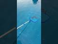 “THERE’S A SNAKE IN THE POOL” 🐍🫣 #pool #snake #prank #funny #comedy #nature #trending #viral