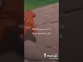 سيمبا عم سكار حزر فزر كرتون دوبلاج