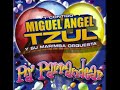 Mi pueblo querido miguel angel tzul