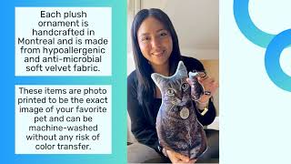Pet Pillows Custom Printed Plush Items Using Sublimation Printing For Christmas