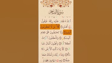 الشيخ علاء عقل    سورة الفجر