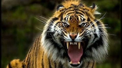 How to Flourish In Any Circumstance, Situation or Environment