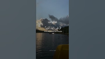 يا عبادي الذين امنوا (سورة العنكبوت)..#القرآن_الكريم #اكسبلور #قرآن#سورة_العنكبوت #عبدالرحمن_مسعد