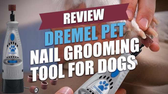 How to Grind Dog Nails With a Dremel Video Tutorial - Doodle Doods