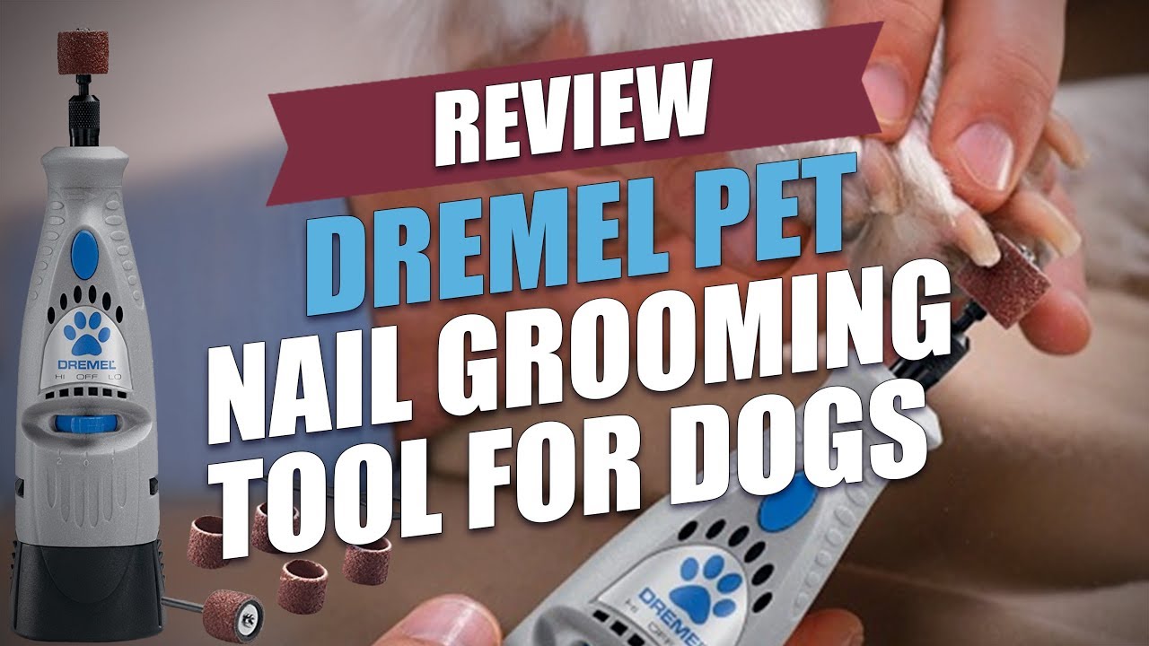Pet Nail Grooming Tool For Dogs YouTube