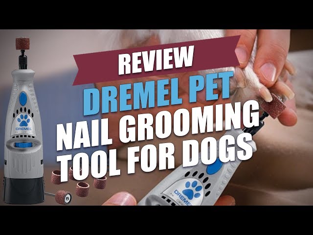 Dremel Pet Nail Grooming Tool For Dogs Review 