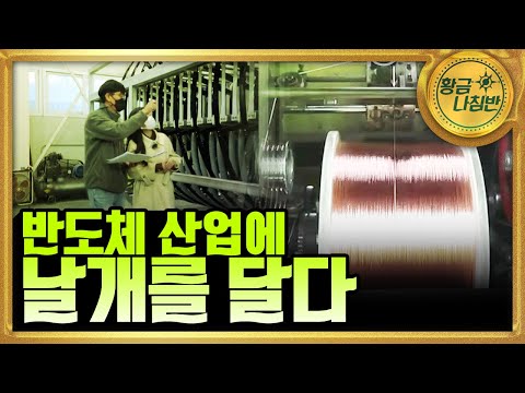 [황금나침반] 한 걸음 더 나아갈 대한민국의 반도체 산업의 현장  / YTN 사이언스