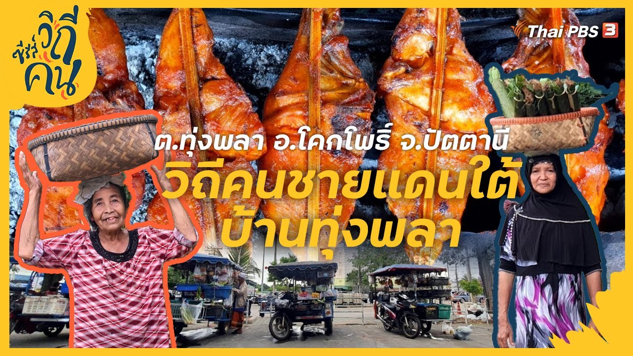 วิถีคนชายแดนใต้ บ้านทุ่งพลา ต.ทุ่งพลา อ.โคกโพธิ์ จ.ปัตตานี | ซีรีส์วิถีคน [CC]