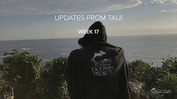 Taiji Update Week 17