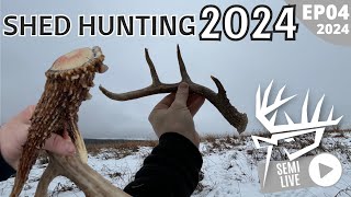 Shed Hunting | Iowa 2024