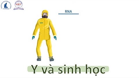 Khoa KH&CN Vật liệu-Trường ĐH KHTN, ĐHQG-HCM, Ứng dụng vật liệu từ tính trong Y Sinh, #MST#KHVL#CNVL