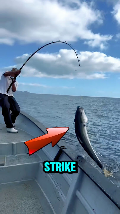 Memancing ikan di laut #short #mancingmantap #mancingmania #mancing