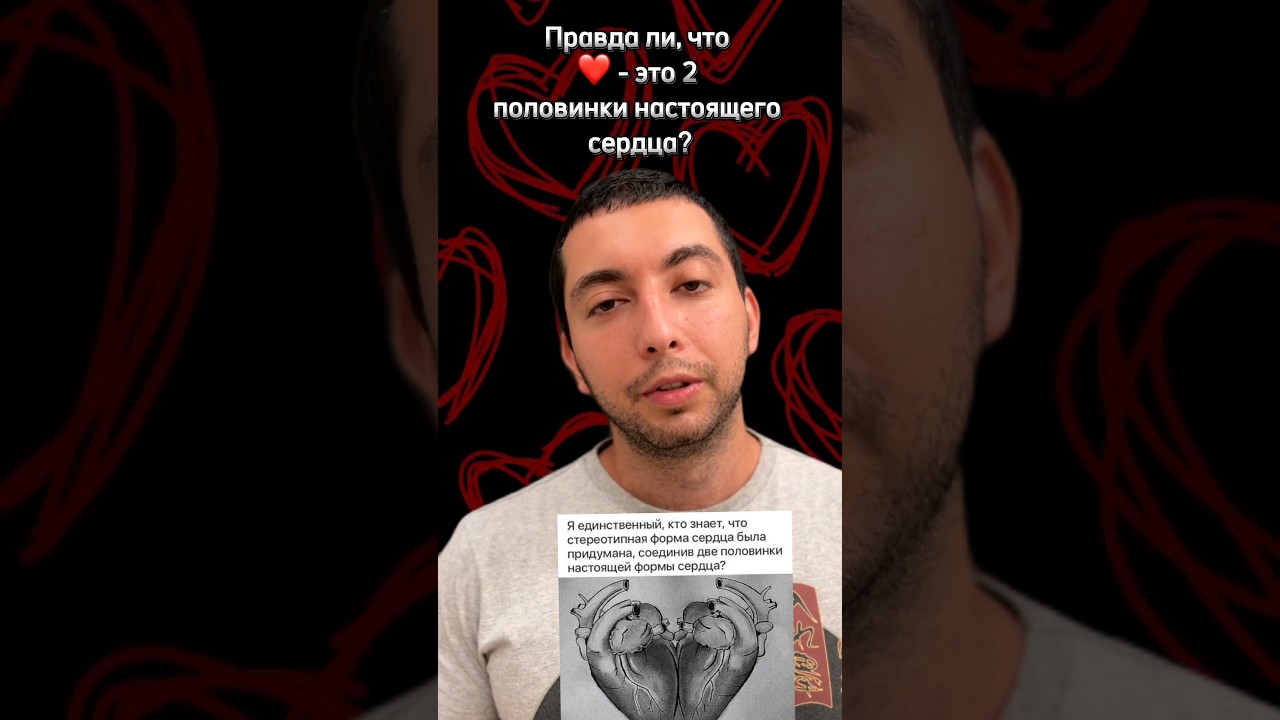 ❤️ это не сердце?! #познавательное #факты #facts