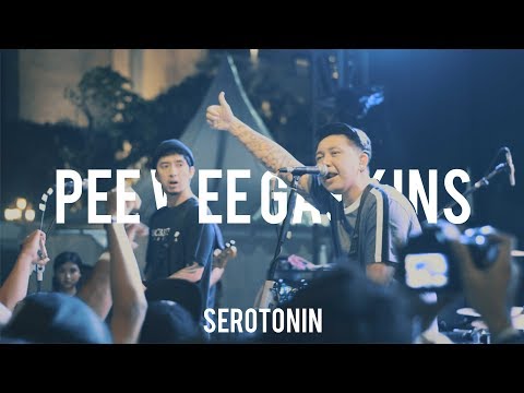 PEE WEE GASKINS - Serotonin, Live (AMPLAZ)
