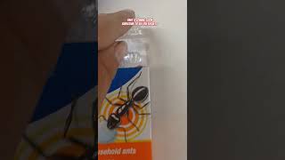 I Have An Ant Problem Terro Ant Bait