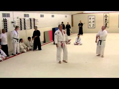 Tactical Aikido with JW Bode 8.mov