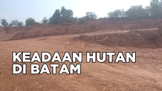 Miris! Video Kerusakan Hutan di Batam Provinsi Kepulauan Riau.