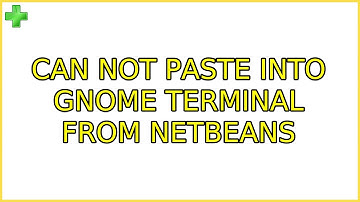 Ubuntu: Can not paste into Gnome Terminal from Netbeans (12 Solutions!!)